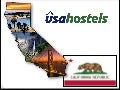 Report On The Hostel Scene from San Diego