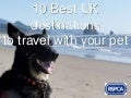 10 Best UK Destinations to Travel With Your Pet
