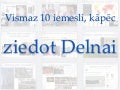 Vismaz 10 iemesli, kāpēc ziedot Delnai