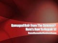 Damaged Hair From The Summer?  Here’s How To Repair It!