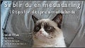 10 tips för ditt pressmeddelande
