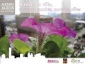 Présentation "Jardins Jardin" - Vendredi des Pros