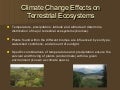 11   effects on terrestrial systems