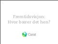 Fremtidsvisjon: Hvor bærer det hen?