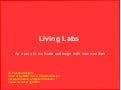 ISA11 - Mariana Salgado - Living Labs and Interaction Design