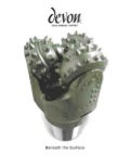 devon energy 2003 annua new