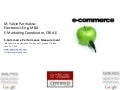 E-Commerce Performance Measurement (SEO, Google AdWords, Google Analytics) in Turkey |Online Marketing|Search Engine Optimization|Consultancy 