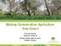 Making CA ever green. Dennis Garrity