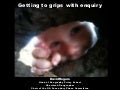 Getting to grips with enquiry