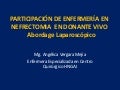 Nefrectomía laparoscópica donante vivo riñón - CICAT-SALUD