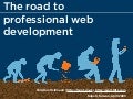 The road to professional web development