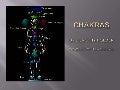 12 chakras