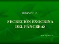 Secreción exocrina del páncreas