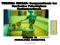 PSICOLOGÍA COGNITIVA POR FANNY JEM WONG