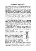 1328926090.el nucleo en la celula eucariota