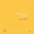 La princesa valiente