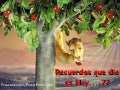 Es Viernes