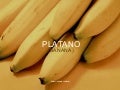 Plátanos - Bananas (por: carlitosrangel)