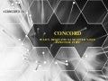 14b concord and-fines-damaskopoulos