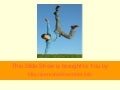 Following Your Credit Card Debt Management Program