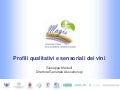 Profili qualitativi e sensoriali dei vini