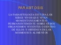 14 Parasitosis
