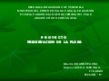 14 preservacion de la flora