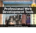 Professional web development with libraries