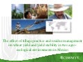 The effect of tillage practice and residue management on wheat yield and yield stability in two agro-ecological environments in Mexico. Bram Govaerts