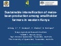 Sustainable intensification of maize-bean production among smallholder farmers in western Kenya. John Achieng