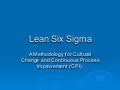 Lean Six Sigma