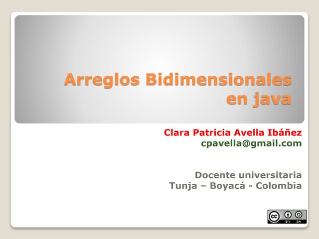 17 arreglos bidimensionales java