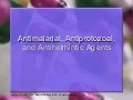 NurseReview.Org - Antimalarials Updates (pharmacology tutorial)