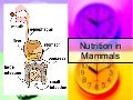 Chapter 6 Nutrition in Humans Lesson 1 - The Need for Digestion