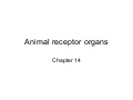 Chapter 14 The Human Eye Lesson 1 - Anatomy of the Human Eye