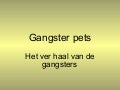 1g Gangster Pets