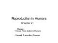 Chapter 17 Reproduction in Humans Lesson 1 - Human Reproductive System