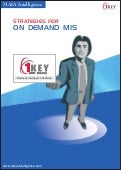 1KEY BI Offering