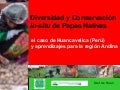 Diversidad y Conservación in-situ de Papas Nativas