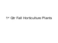 1st Qtr Horticulture Plants