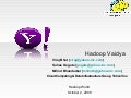 HW09 Hadoop Vaidya