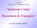 2.  Membcelular