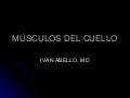 MUSCULOS DEL CUELLO