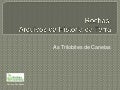 BioGeo10-trilobites de canelas