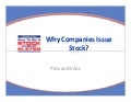 Why Companies Issue Stock