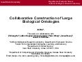 Collaborative Construction of Large Biological Ontologies