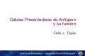 Clase Células Presentadoras de Antígenos y su función