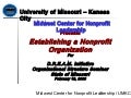 2008 DREAM Initiative Establishing A NPO