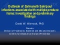 Outbreak of Salmonella Saintpaul infections associated with multiple produce items: investigation and preliminary findings