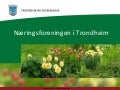 2009.05.19 Næringsforeningen
